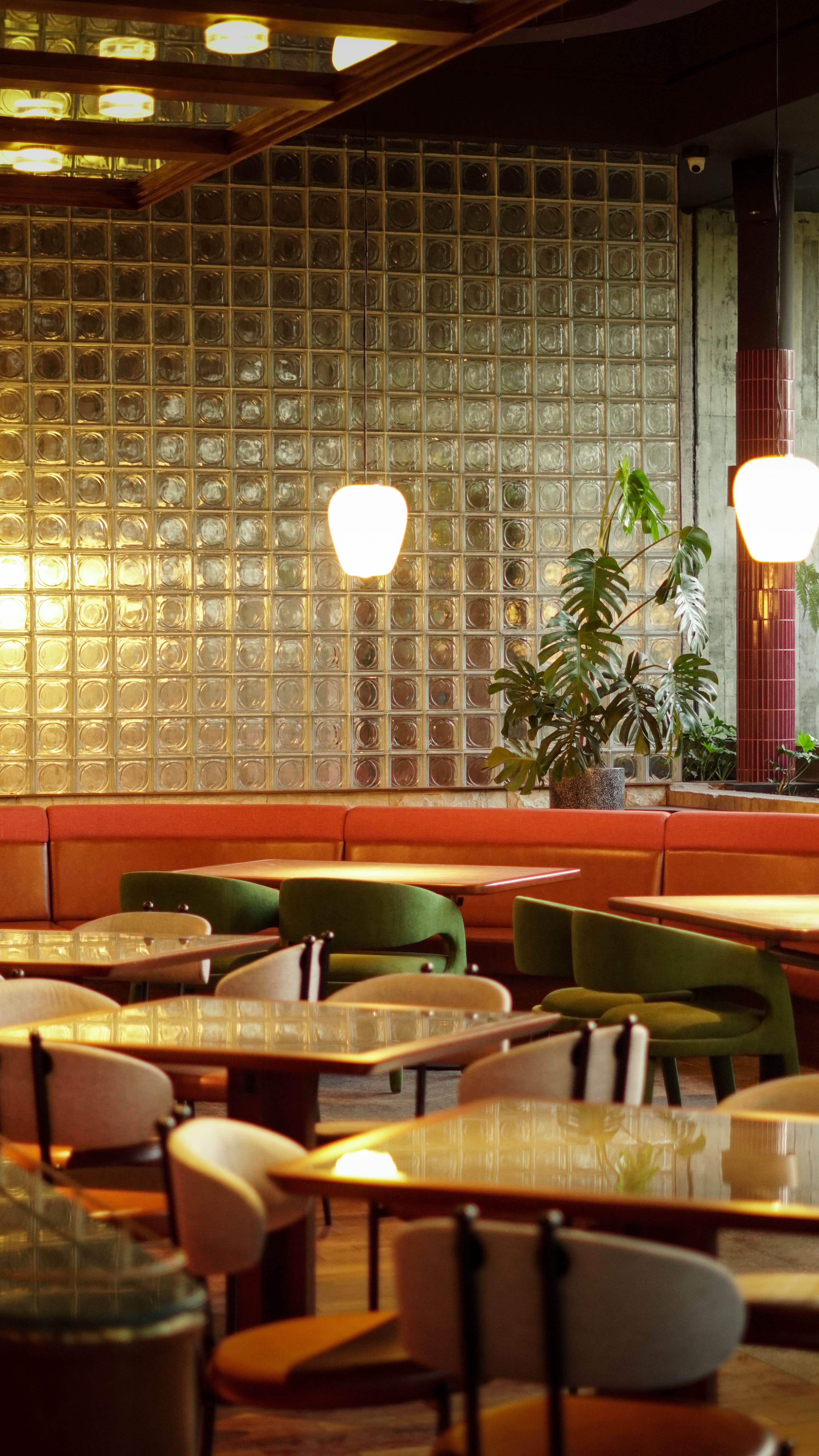 Premium King Crab dish